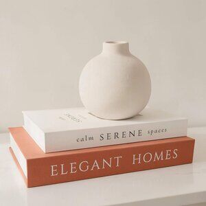 Decorative Brown Beige Books Set of 2 Faux Books Storage Box Modern Home Decor